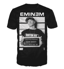 EMINEM - ARREST